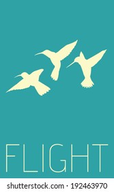 Vector Minimal Design - Flight