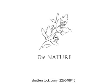 Vector minimal doodle card with eco nature print on white background
