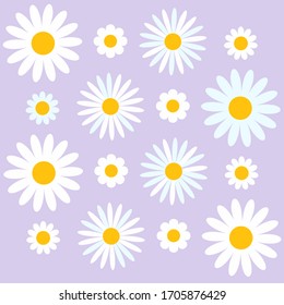 Vector minimalism flat modern flower chamomile pattern