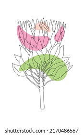 Vector minimalist botanical illustration. Artistic drawing of the protea branch with an abstract shapes of different colors on white background. Line art style