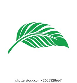 Vector Minimalist Green Tropical Leaf Illustration with Clean Lines and Organic Shape on a White Background