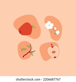 Vector minimalist hand drawn apples, leaves and apple flowers.Modern art print elements.