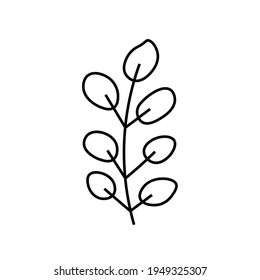 Vector minimalist plant eucalyptus leaf with a black line.One autumn simple hand drawn illustration on white isolated background in doodle style.Design for packaging,social media,posters,postcards.