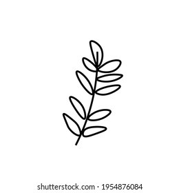 Vector minimalist plant eucalyptus leaf with a black line.One autumn simple hand drawn illustration on white isolated background in doodle style.Design for packaging,social media,posters,postcards.