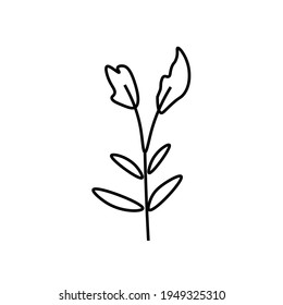 Vector minimalista hoja de planta con una línea negra. Un verano simple ilustración a mano sobre fondo blanco aislado en forma de doodle. Diseño para empaque, sitios web, medios sociales, afiches, postales.
