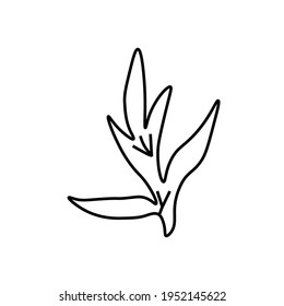 Vector minimalist plant leaf with a black line.One autumn simple hand drawn illustration on white isolated background in doodle style.Design for packaging,social media,posters,postcards.
