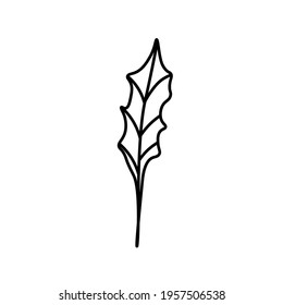 Vector minimalist plant leaf with a black line.One autumn simple hand drawn illustration on white isolated background in doodle style.Design for packaging,social media,posters,postcards.