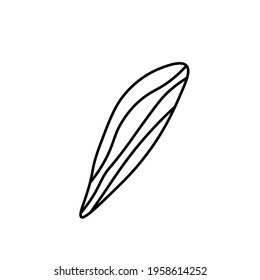 Vector minimalist plant leaf with a black line.One Summer simple hand drawn illustration on white isolated background in doodle style.Design for packaging,websites,social media,posters,postcards.