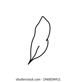 Vector minimalist plant leaf with a black line.One Summer simple hand drawn illustration on white isolated background in doodle style.Design for packaging,websites,social media,posters,postcards.