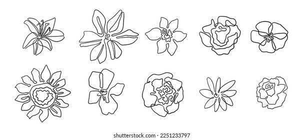 vector minimalistic drawing flowers, one line sketch, set of floral elements, hand drawn illustration