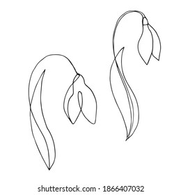 Image vectorielle illustration minimaliste de fleurs printanières dessinées par une seule ligne. Goutte de Neige dessinée à la mode Argenté isolée sur fond blanc