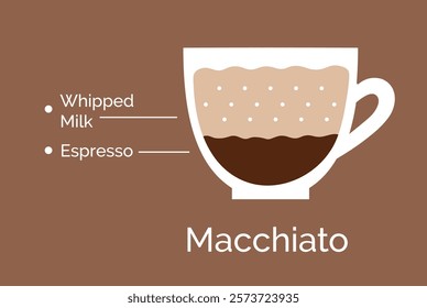 Vector minimalistic infographic color flat illustration of Macchiato coffee recipe