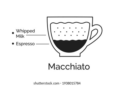 Vector minimalistic infographic illustration of Macchiato coffee recipe isolated on white background.
