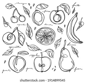 Vector minimalistic linear illustration made of one line. Fruits and vegetables 