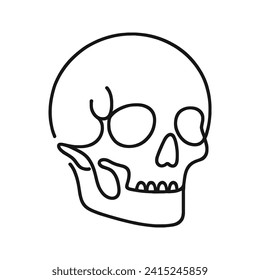 Vector minimalistic linear illustration of a skull on a white background.