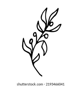 Die minimalistische und stilvolle Vektor-Pflanze mit Beeren ist perfekt für das Logo von umweltfreundlichen Produkten, Tätowierungsdesign