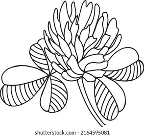 Imagen estilizada vectorial minimalista de una flor de trébol dibujada a mano con una sola línea