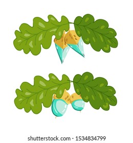 Vector mint green acorns on a golden oak branch with golden leaves. Illustration isolated on white. Jewelry nuts
