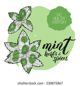 Vector mint. Handwritten unique lettering. Objects for menu design. Menu for bar, cafe, restaurant. Healthy collection of product labels. Herbs and spices collection.