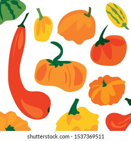 Vector with mix of ripe, orange, yellow, green pumpkins and shapes from the fresh harvest. Pattern for Halloween design.