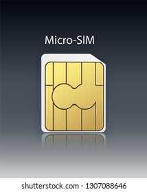 Vector Mobile Cellular Phone Sim Card Chip Isolated on Background. Vector illustration 10 eps.