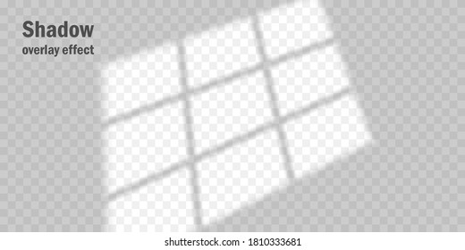 Vector mock up shadow overlay effect. Transparent soft light and shadows from window. Mockup of transparent window shadow and natural lightning. 10 eps mesh.