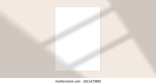 Vector mock up shadow overlay effect. Transparent soft light and shadows from window. Mockup of transparent window shadow and natural lightning. 10 eps mesh.