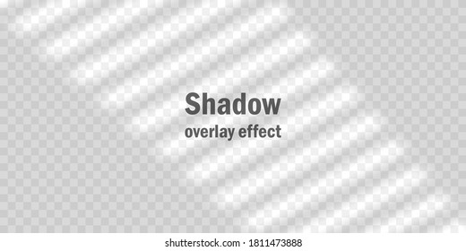 Vector mock up shadow overlay effect. Transparent soft light and shadows from window. Mockup of transparent window shadow and natural lightning. 10 eps mesh.