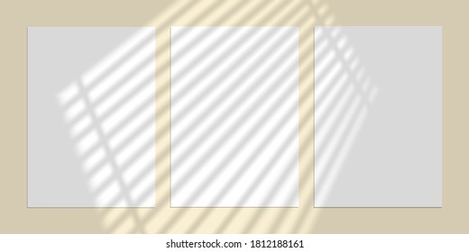 Vector mock up shadow overlay effect. Transparent soft light and shadows from window. Mockup of transparent window shadow and natural lightning. 10 eps mesh.