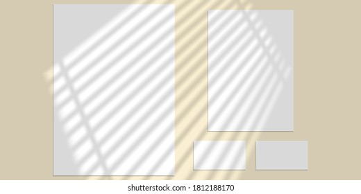 Vector mock up shadow overlay effect. Transparent soft light and shadows from window. Mockup of transparent window shadow and natural lightning. 10 eps mesh.