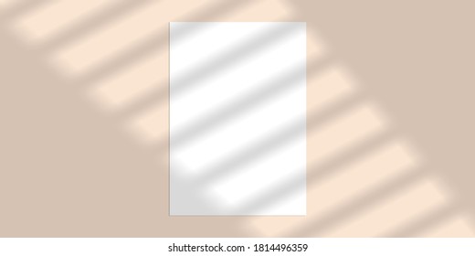 Vector mock up shadow overlay effect. Transparent soft light and shadows from window. Mockup of transparent window shadow and natural lightning