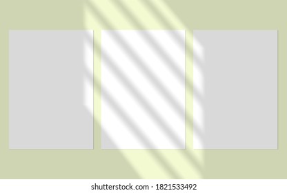Vector mock up shadow overlay effect. Transparent soft light and shadows from window. Transparent window shadow and natural lightning