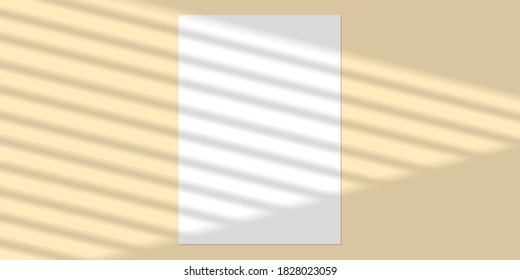 Vector mock up shadow overlay effect. Transparent soft light and shadows from window. Transparent window shadow and natural lightning