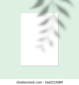 Vector mock up of white blank vertical paper. Shadow overlay effect. Transparent soft light and shadows from branches, plant and leaves. Mockup of transparent leaf shadow and natural lightning.