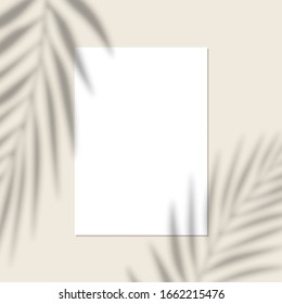 Vector mock up of white blank vertical paper. Shadow overlay effect. Transparent soft light and shadows from branches, plant and leaves. Mockup of transparent leaf shadow and natural lightning.