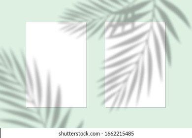 Vector se burla de papel vertical blanco. Efecto de superposición de sombra. Luz suave transparente y sombras de ramas, plantas y hojas. Montaje de la sombra transparente de hojas y luz natural.