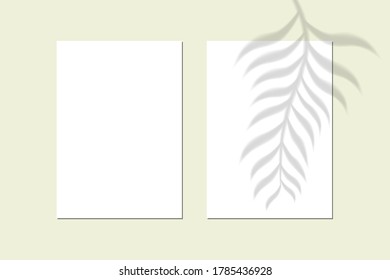 El vector se burla del papel vertical blanco. Efecto de superposición de sombra. Luz suave transparente y sombras de ramas, plantas y hojas. Montaje de sombra transparente de hojas y relámpago natural.