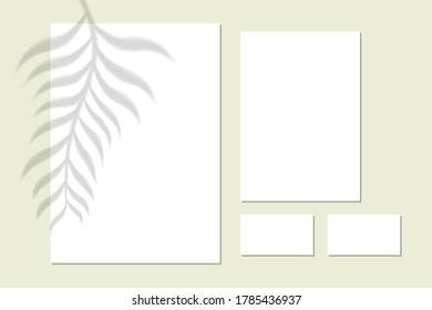 Vector mock up of white blank vertical paper. Shadow overlay effect. Transparent soft light and shadows from branches, plant and leaves. Mockup of transparent leaf shadow and natural lightning.