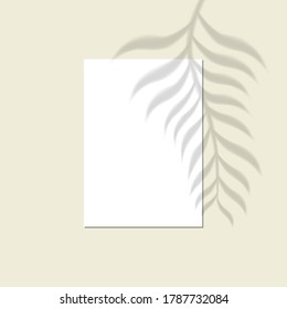 Vector mock up of white blank vertical paper. Shadow overlay effect. Transparent soft light and shadows from branches, plant and leaves. Mockup of transparent leaf shadow and natural lightning.