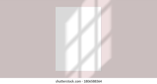 Vector mock up of white blank vertical paper. Shadow overlay effect. Transparent soft light and shadows from window.  Mockup of transparent window shadow and natural lightning. 10 eps mesh.