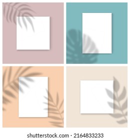 Vector Mockups set with empty white paper sheet on color background and palm leaves shadow overlay effect. Minimalist portfolio blank space backgrounds for web portfolio, poster mock up, presentation