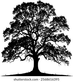 Vector model silhouette tree on a hill - oak isolated with lots of details