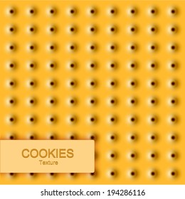 Vector modern cookie texture. Food background. Eps10