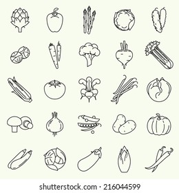 Vector modern flat design vegetables and green salads line icons | Large collection of contour vegetable clip art featuring endive, beetroot, brussels sprouts, zucchini, iceberg lettuce, and more