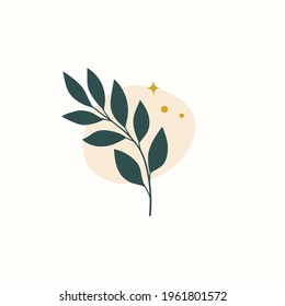 Vector modern floral arrangement background. Cute delicate botanical illustration with leaves and plants.