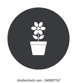 Vector modern flower gray circle icon on white background