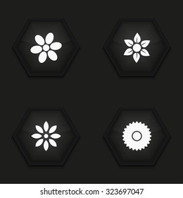 Vector modern flower icons set on background