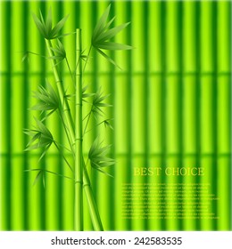 vector modern green bamboo background. Eps10 illustration