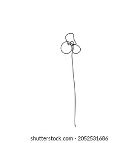 Vector modern of isolated hand drawn doodle flower. Pattern of flower drawn by one line on a white background.