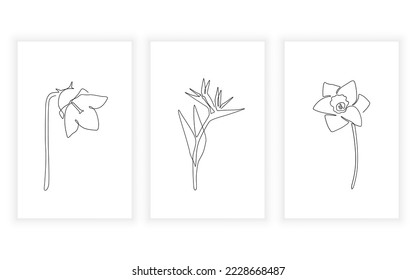 Vector modern minimalism of flower line art drawning illustration bluebell bird of paradise daffodil flower